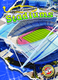 Book Cover for Stadiums by Chris Bowman