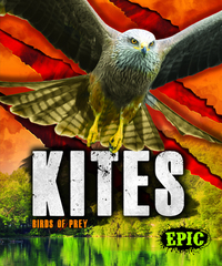 Book Cover for Kites by Nathan Sommer