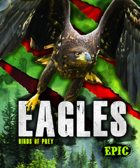 Book Cover for Eagles by Nathan Sommer