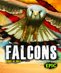 Book Cover for Falcons by Nathan Sommer