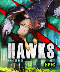 Book Cover for Hawks by Nathan Sommer