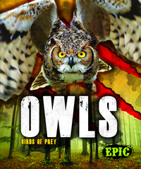 Book Cover for Owls by Nathan Sommer