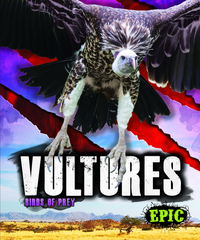Book Cover for Vultures by Nathan Sommer