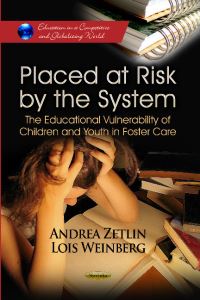 Book Cover for Placed at Risk by the System by Andrea Zetlin