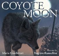 Book Cover for Coyote Moon by Maria Gianferrari