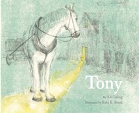 Book Cover for Tony by Ed Galing