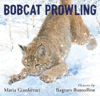 Book Cover for Bobcat Prowling by Maria Gianferrari