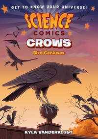 Book Cover for Crows by Kyla Vanderklugt
