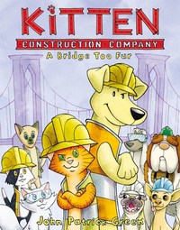 Book Cover for A Bridge Too Fur by John Patrick Green, Cat Caro