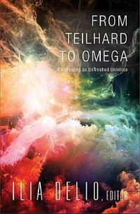 Book Cover for From Teilhard to Omega by Ilia Delio