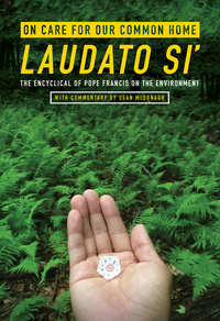 Book Cover for On Care for Our Common Home, Laudato Si' by Catholic Church