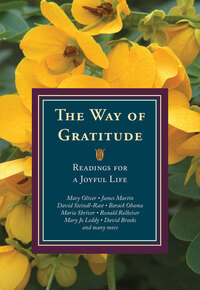 Book Cover for The Way of Gratitude by Michael Leach