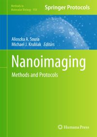 Book Cover for Nanoimaging by Alioscka A Sousa, Michael J Kruhlak