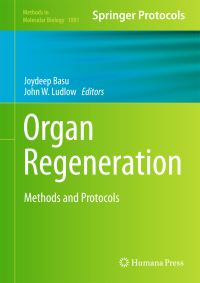 Book Cover for Organ Regeneration by Joydeep Basu, John W Ludlow