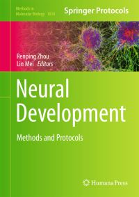 Book Cover for Neural Development by Renping Zhou, Lin Mei