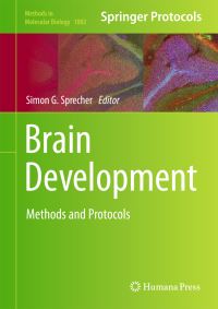 Book Cover for Brain Development by Simon G Sprecher