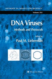Book Cover for DNA Viruses by Paul M Lieberman
