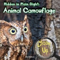 Book Cover for Hidden in Plain Sight by Elsie Belback