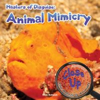 Book Cover for Masters of Disguise by Elsie Belback