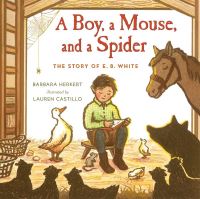 Book Cover for A Boy, a Mouse, and a Spider by Barbara Herkert
