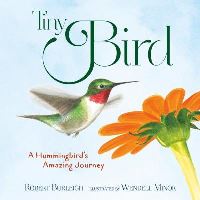 Book Cover for Tiny Bird by Robert Burleigh