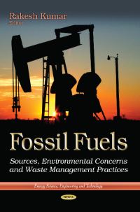 Book Cover for Fossil Fuels by Rakesh Kumar