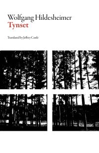 Book Cover for Tynset by Wolfgang Hildesheimer