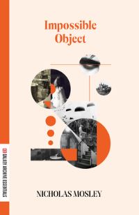 Book Cover for Impossible Object by Nicholas Mosley
