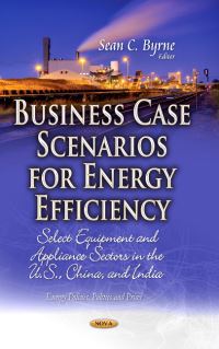 Book Cover for Business Case Scenarios for Energy Efficiency by Sean C Byrne