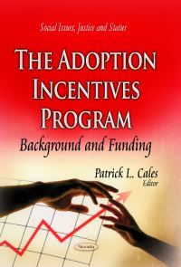 Book Cover for The Adoption Incentives Program by Patrick L Cales