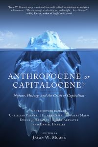 Book Cover for Anthropocene or Capitalocene? by Jason W Moore
