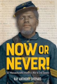 Book Cover for Now or Never! by Ray Anthony Shepard