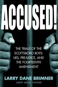Book Cover for Accused! by Larry Dane Brimner
