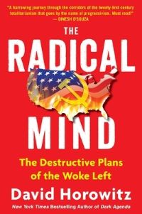 Book Cover for The Radical Mind by David Horowitz