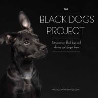 Book Cover for The Black Dogs Project by Fred Levy