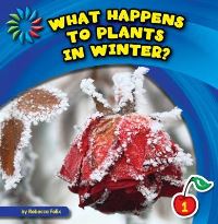 Book Cover for What Happens to Plants in Winter? by Rebecca Felix
