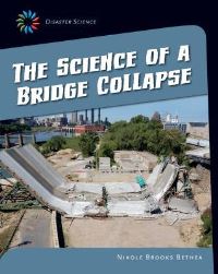 Book Cover for The Science of a Bridge Collapse by Nikole Brooks Bethea