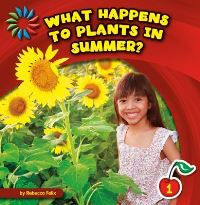 Book Cover for What Happens to Plants in Summer? by Rebecca Felix
