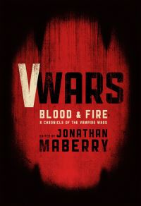 Book Cover for Blood and Fire by Jonathan Maberry, James A Moore