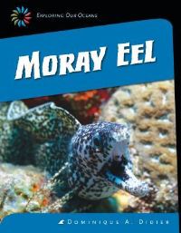 Book Cover for Moray Eel by Dominique A Didier