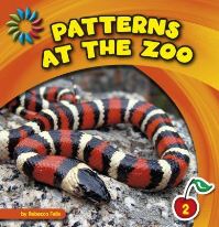 Book Cover for Patterns at the Zoo by Rebecca Felix