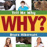 Book Cover for Bears Hibernate by Susan Heinrichs Gray