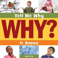 Book Cover for It Snows by Tamra Orr