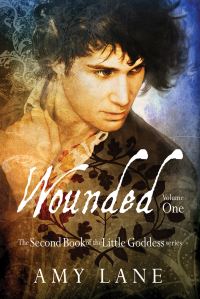 Book Cover for Wounded, Vol. 1 by Amy Lane