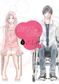 Book Cover for Perfect World by Rie Aruga