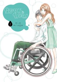 Book Cover for Perfect World. 2 by Rie Aruga