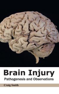 Book Cover for Brain Injury by Craig Smith