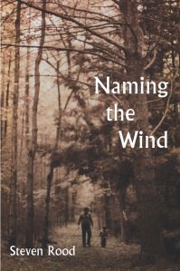 Book Cover for Naming the Wind by Steven Rood