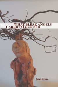 Book Cover for What Bleak Angels Carried Your Bed by John Cross