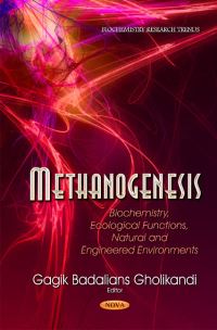 Book Cover for Methanogenesis by Gagik Badalians Gholikandi